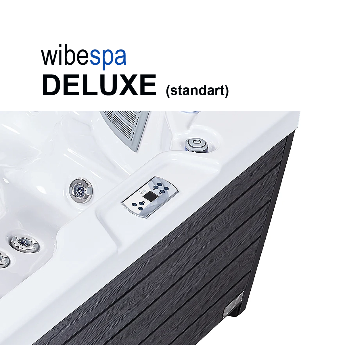 Wellis Easy Steuerung + Cabinetverkleidung grau
