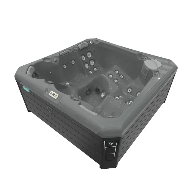 WELLIS CITYLIFE PALERMO, WELLIS Wannenfarbe / Aussenverkleidung: THUNDER GREY / GRAU