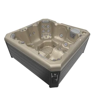 WELLIS CITYLIFE MALAGA, WELLIS Wannenfarbe / Aussenverkleidung: CHAMPAGNE / GRAU