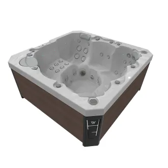 WELLIS CITYLIFE PRAGUE 230V, WELLIS Wannenfarbe / Aussenverkleidung: STERLING SILVER / GRAPHITE BROWN
