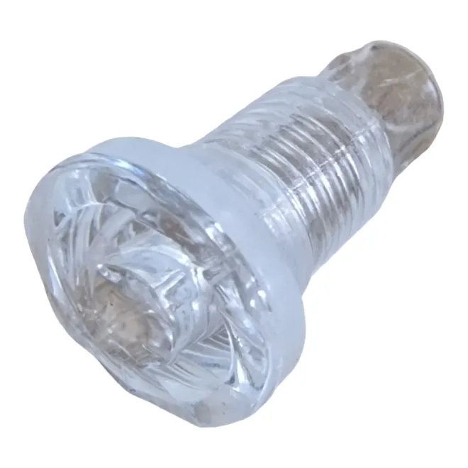 Wellis Whirlpool LED Einsatz