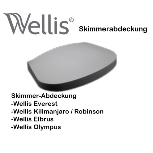 WELLIS SKIMMERABDECKUNG GRAU